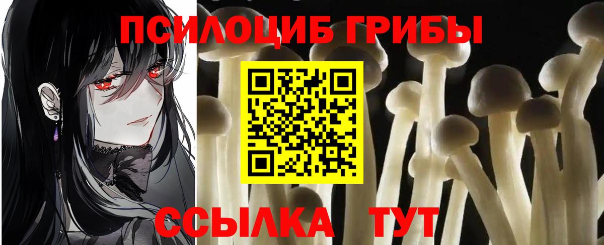 Галлюциногенные грибы Magic Shrooms Сорочинск